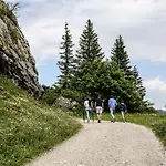 Pensionat Altes Wallberghaus Rotta