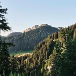 Πανσιόν Altes Wallberghaus 3*