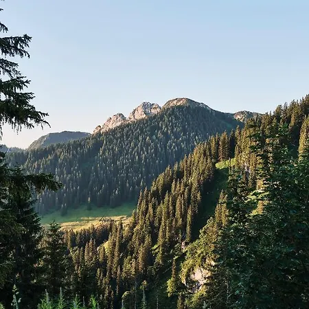 Гостевой дом Altes Wallberghaus 3*