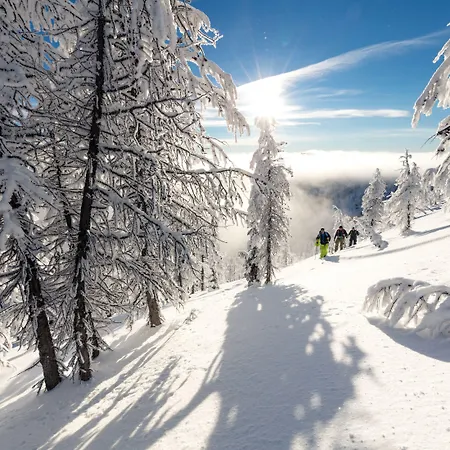 Гостевой дом Altes Wallberghaus 3*