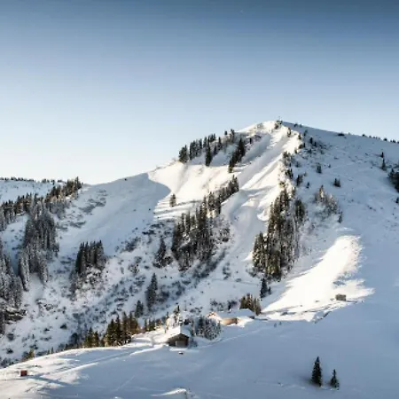 Гостевой дом Altes Wallberghaus 3*